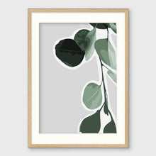 Load image into Gallery viewer, EUCALYPT I
