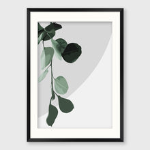 Load image into Gallery viewer, EUCALYPT II
