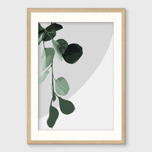 Load image into Gallery viewer, EUCALYPT II
