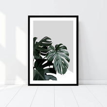 Load image into Gallery viewer, MONSTERA II
