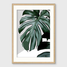 Load image into Gallery viewer, MONSTERA I
