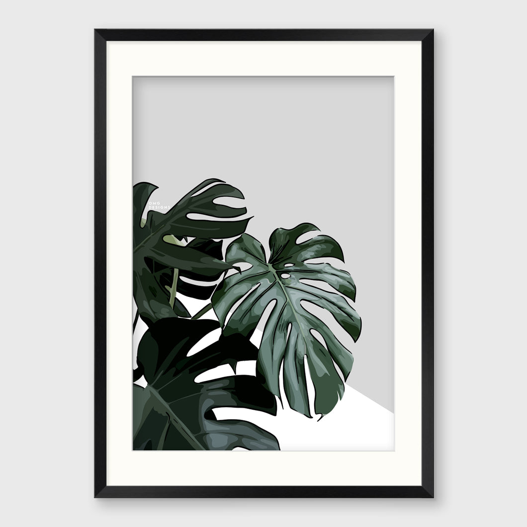 MONSTERA II