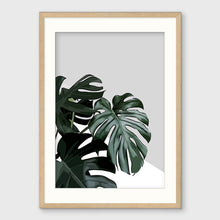 Load image into Gallery viewer, MONSTERA II
