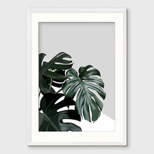 Load image into Gallery viewer, MONSTERA II
